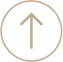 Return to top